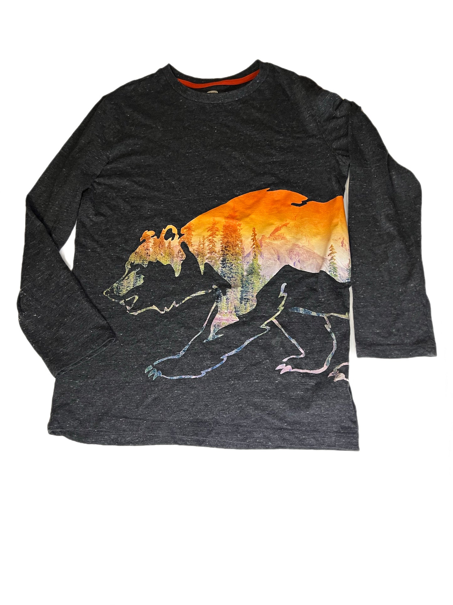 Gray bear graphic shirt, 14/16